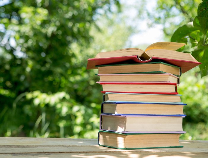 YA Book Recommendations For Summer Reading : Life Kit : NPR Book Understanding Health Insurance: A Guide to Billing and Reimbursement - 2021 Edition (MindTap Course List)