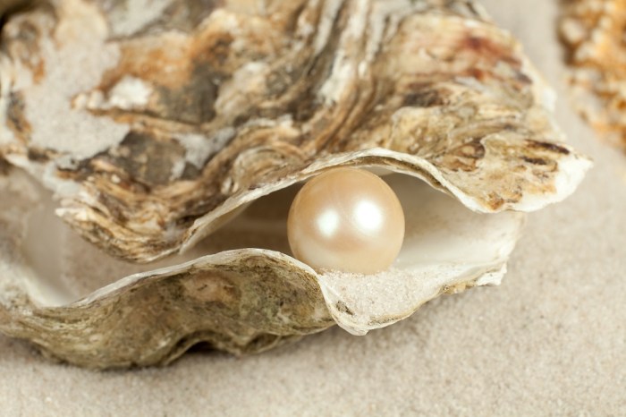 The Empowering Journey of Pearl Necklaces: From Tradition to Revolution