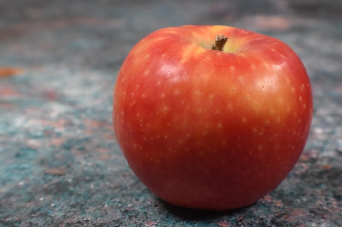 Apple in 2021: the new products we expect this year Apple iPhone XR 4G LTE Mobile 6.1