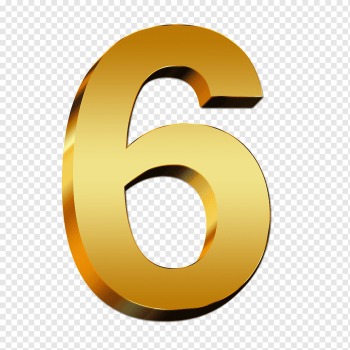 6.3